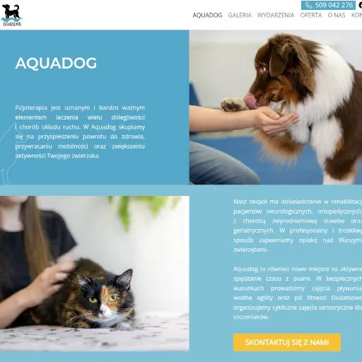 Zrzut ekranu projektu Aquadog